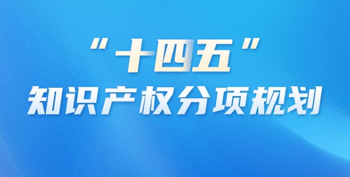 知识产权人才“十四五”规划