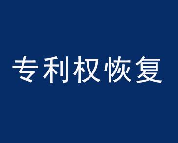 恢复专利权请求书理由应该怎么写？