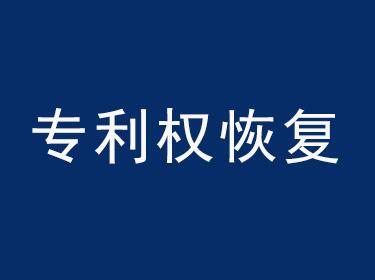 智周知识产权专利权恢复服务流程