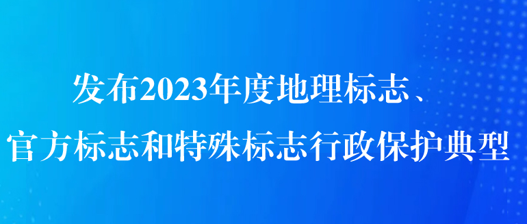 2023年度知识产权行政保护典型案例共30件